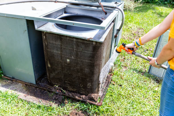 Air Duct Mold Removal in WI